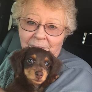 Meet your Posher, Karen